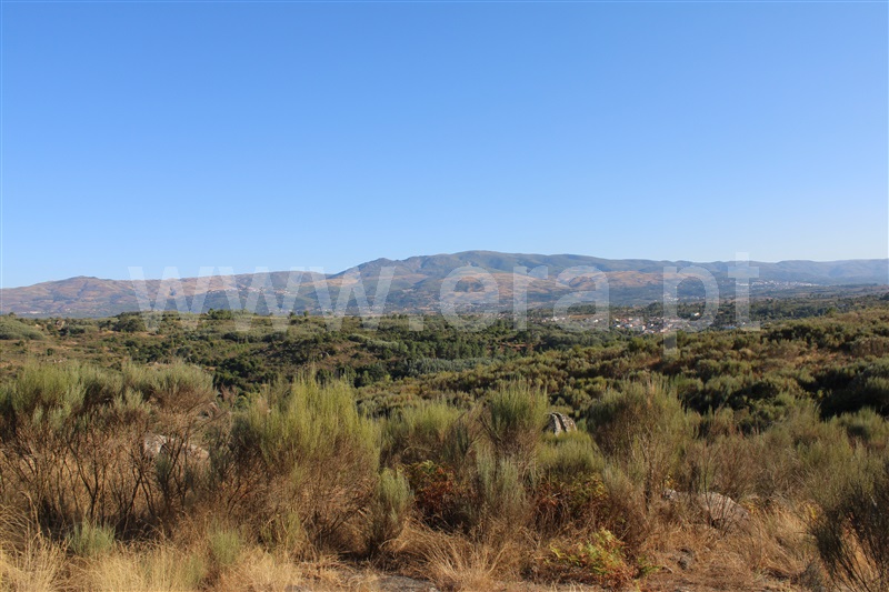 Quintinha T3 Fornos de Algodres, Algodres - 1480580 - 6