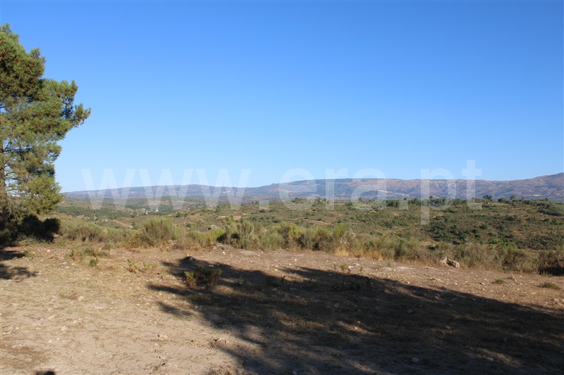 Quintinha T3 Fornos de Algodres, Algodres - 1480580 - 7