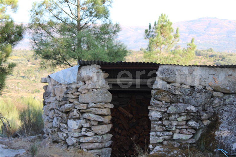 Quintinha T3 Fornos de Algodres, Algodres - 1480580 - 9