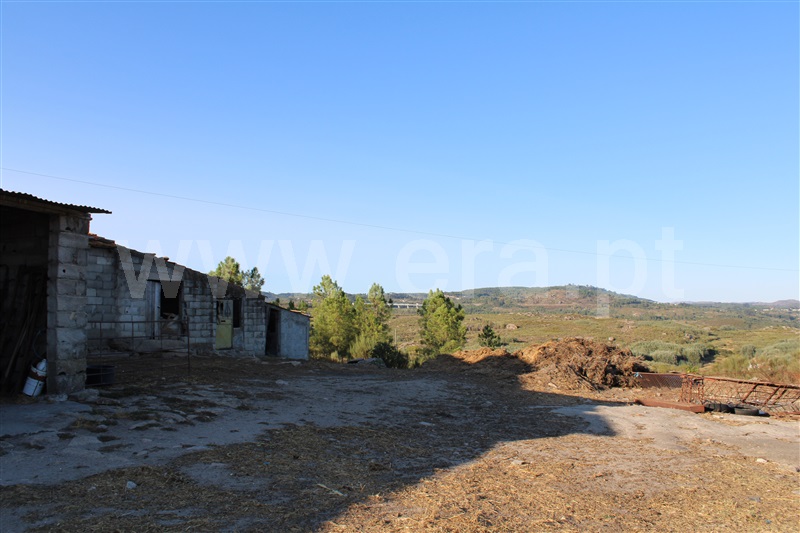 Quintinha T3 Fornos de Algodres, Algodres - 1480580 - 12