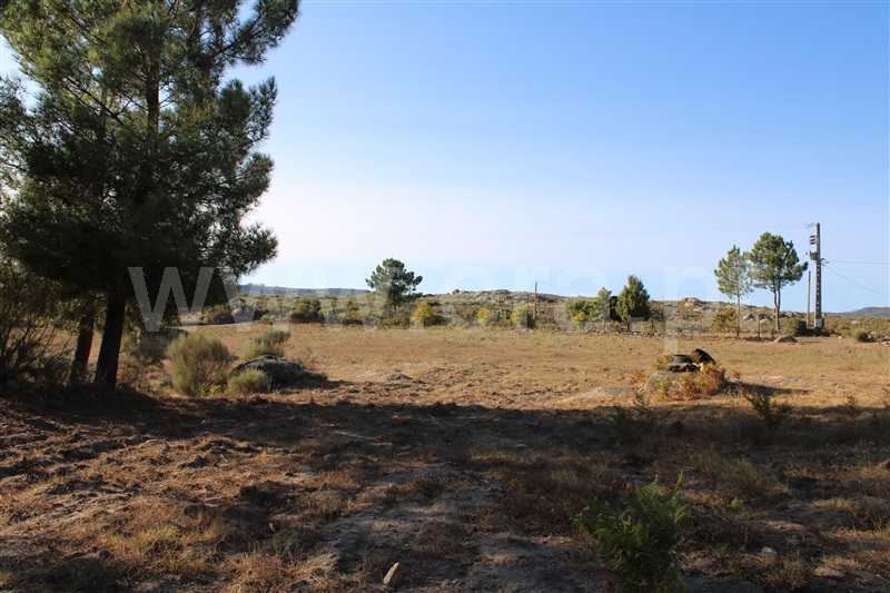 Quintinha T3 Fornos de Algodres, Algodres - 1480580 - 14