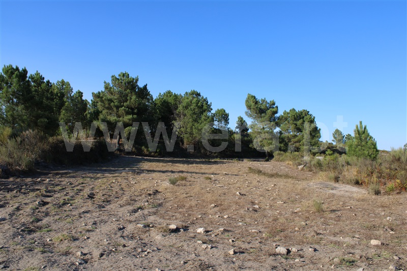 Quintinha T3 Fornos de Algodres, Algodres - 1480580 - 17