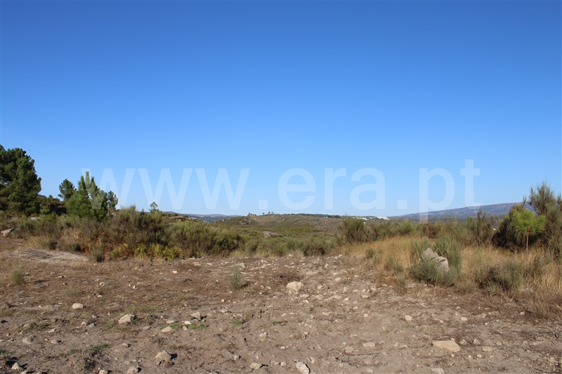 Quintinha T3 Fornos de Algodres, Algodres - 1480580 - 21