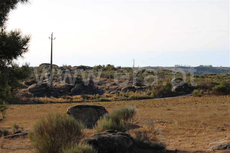 Quintinha T3 Fornos de Algodres, Algodres - 1480580 - 22