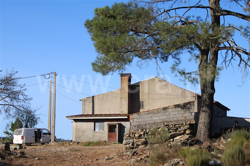 Quinta T3 / Fornos de Algodres, Algodres