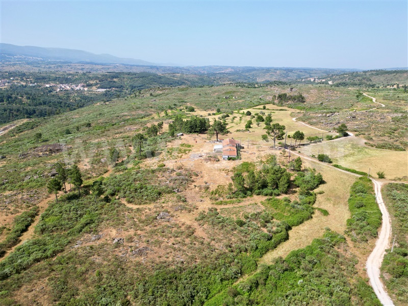 Quinta T3 / Fornos de Algodres, Algodres