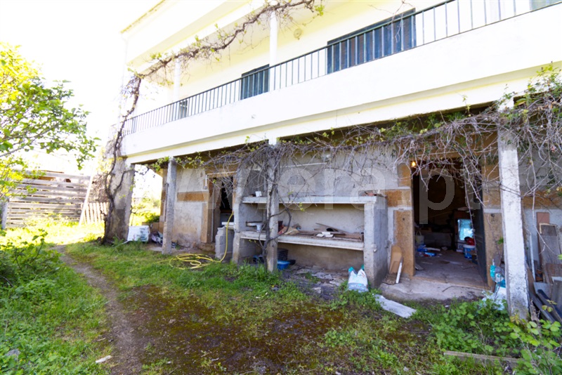 Quinta T3 com Agrícola Fundão, Capinha - 1480021 - 26