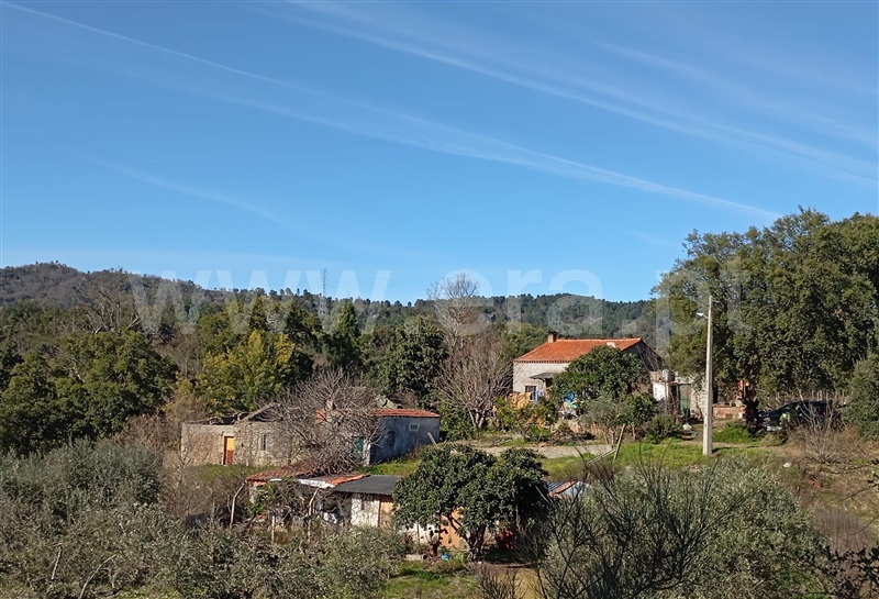 Quinta T3 / Fundão, Pêro Viseu
