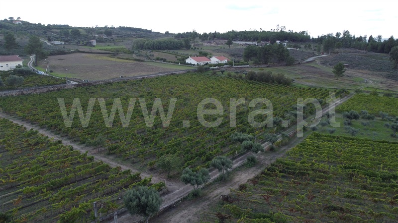 Quinta T4 Gouveia, São Paio - 1354884 - 3