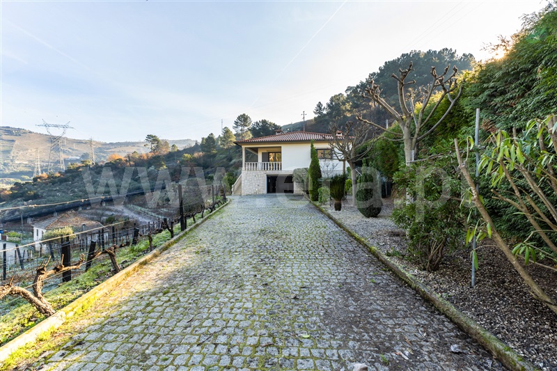 Quinta T3 Lamego, Sande - 1449321 - 4