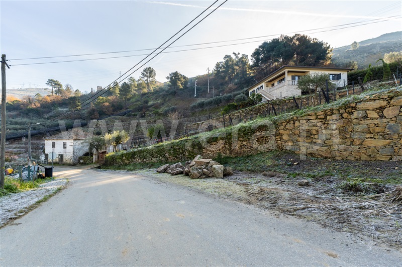 Quinta T3 Lamego, Sande - 1449321 - 6