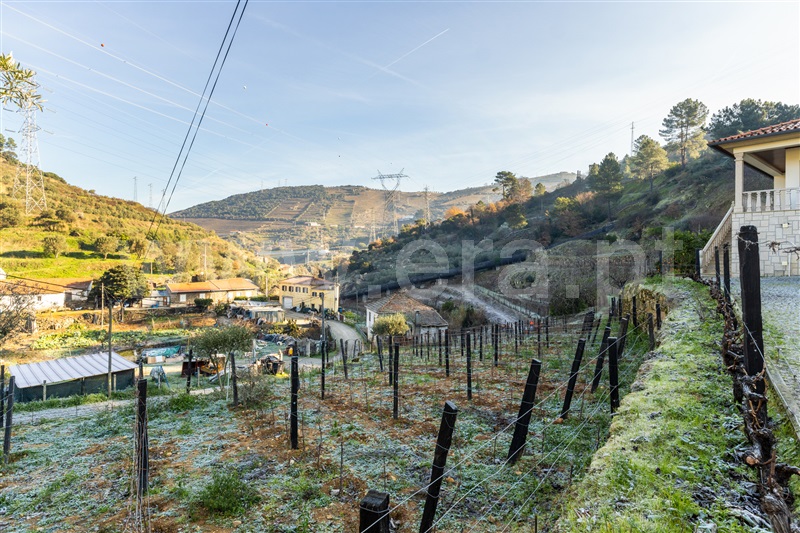 Quinta T3 Lamego, Sande - 1449321 - 24