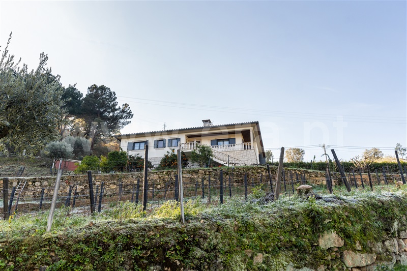 Quinta T3 Lamego, Sande - 1449321 - 26