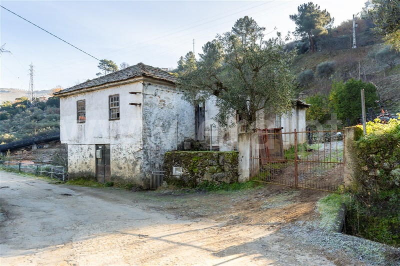 Quinta T3 Lamego, Sande - 1449321 - 27
