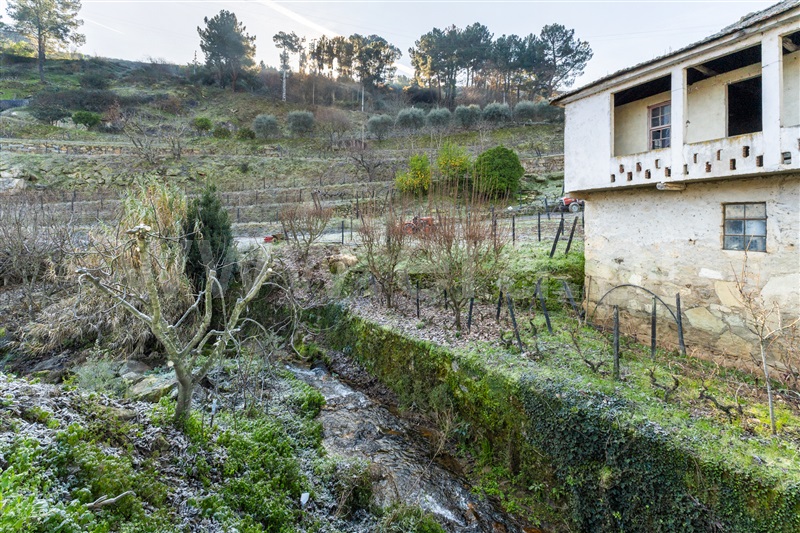 Quinta T3 Lamego, Sande - 1449321 - 28