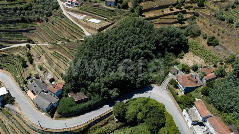 Quinta T3 / Mesão Frio, Vila Marim