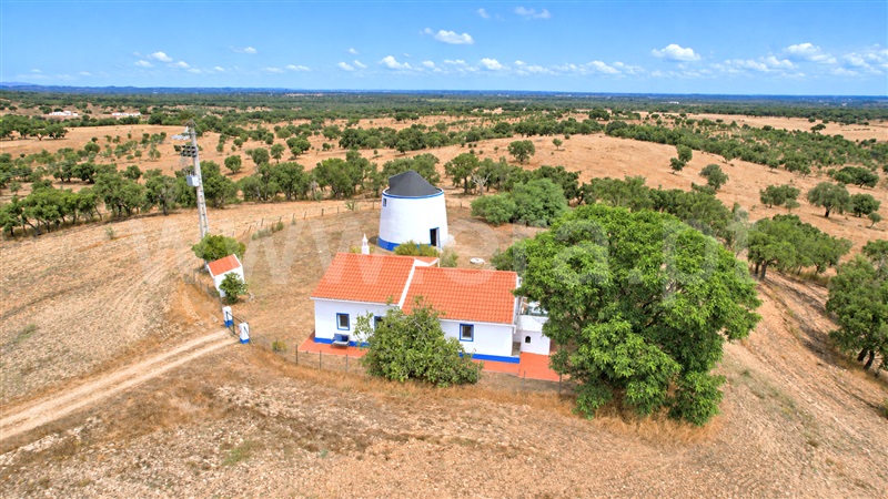 Quinta T3 / Odemira, Colos