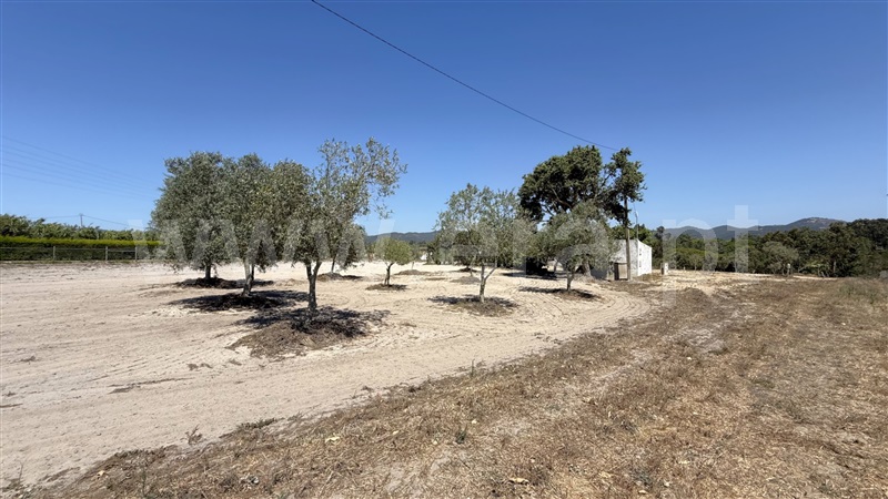 Quinta T3 Odemira, Foros de Galeado - 1497198 - 16