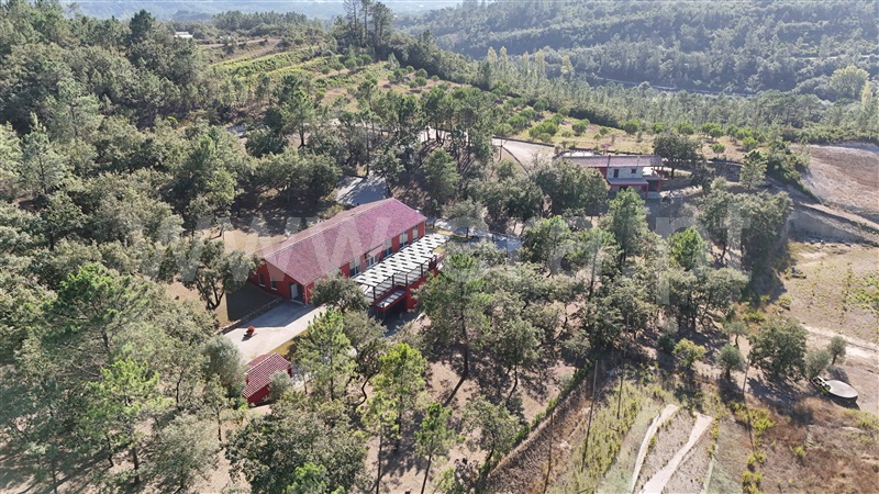 Quinta T3 / Pombal, Abiul