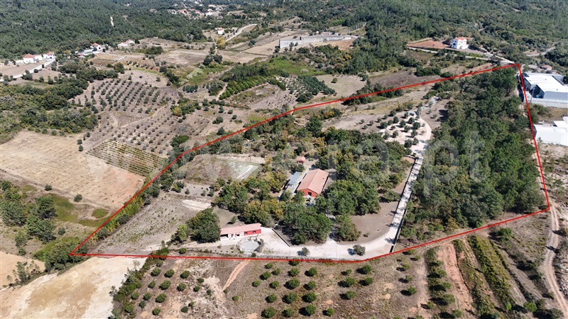 Herdade  Pombal, Abiul - 1433536 - 2