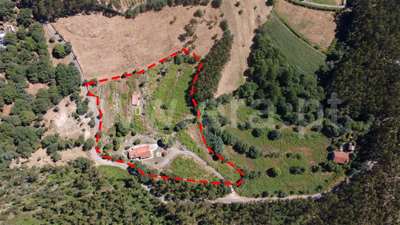 Quinta T3 Ponte de Lima, Anais - 1497360 - 4