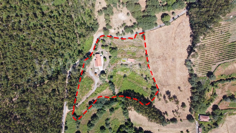 Quinta T3 Ponte de Lima, Anais - 1497360 - 5