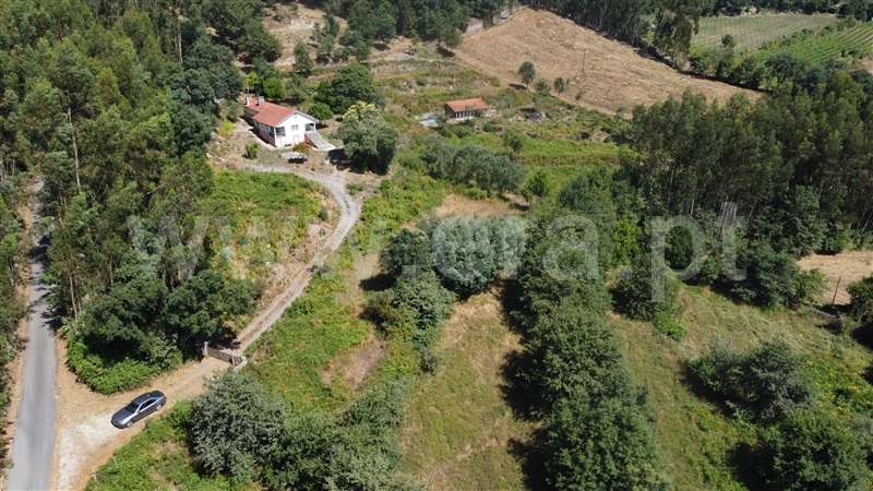 Quinta T3 Ponte de Lima, Anais - 1497360 - 6