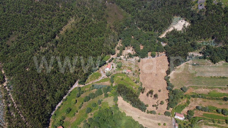 Quinta T3 Ponte de Lima, Anais - 1497360 - 7