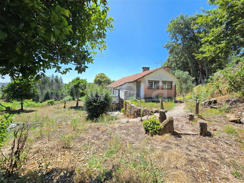 Quinta T3 Ponte de Lima, Anais - 1497360 - 20
