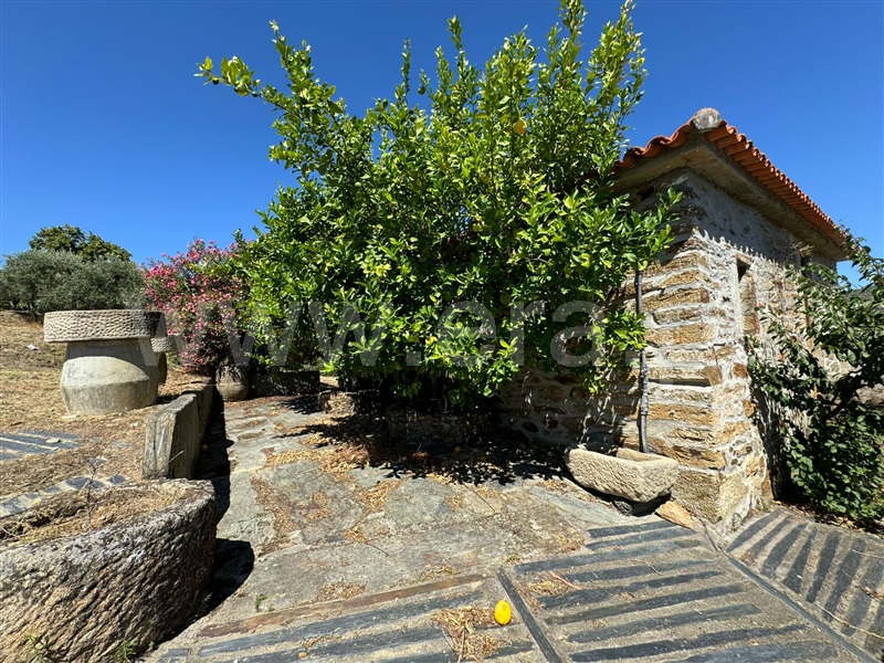Quinta T3 / São João da Pesqueira, Castanheiro do Sul