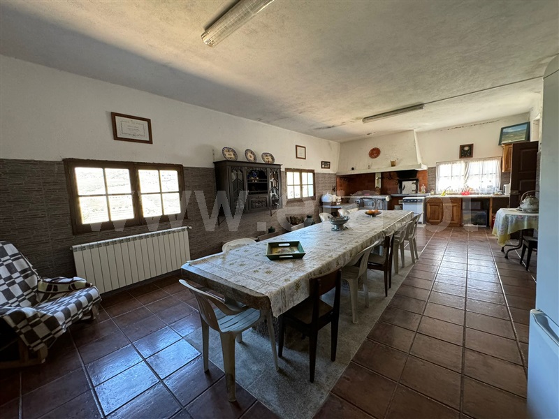 Herdade  São João da Pesqueira, Castanheiro do Sul - 1419251 - 2