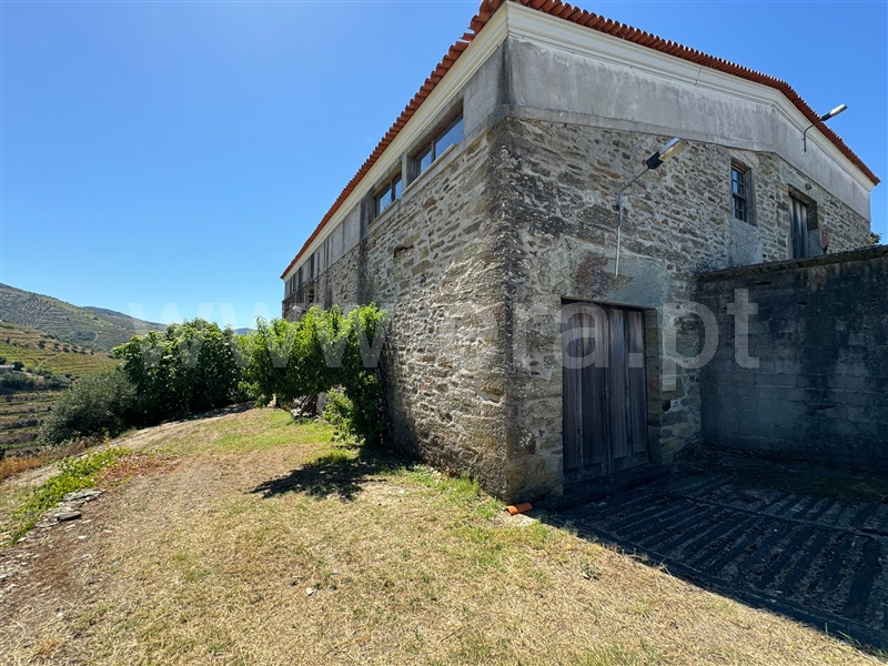 Herdade  São João da Pesqueira, Castanheiro do Sul - 1419251 - 6
