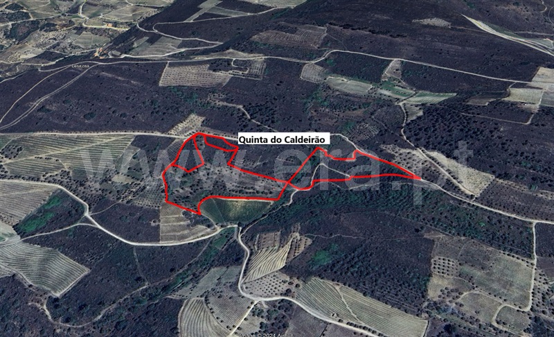 Quinta T3 com Agrícola São João da Pesqueira, Castanheiro do Sul - 1419251 - 20