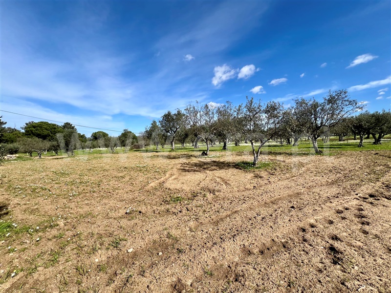 Quinta T3 Seia, Santa Comba - 1385843 - 26