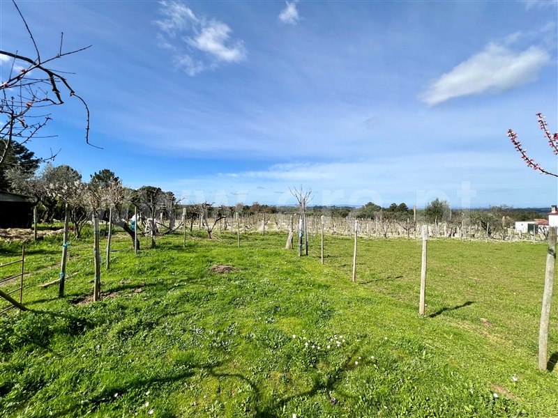Quinta T3 Seia, Santa Comba - 1385843 - 39