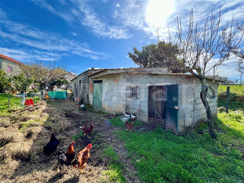 Quinta T3 Seia, Santa Comba - 1385843 - 42