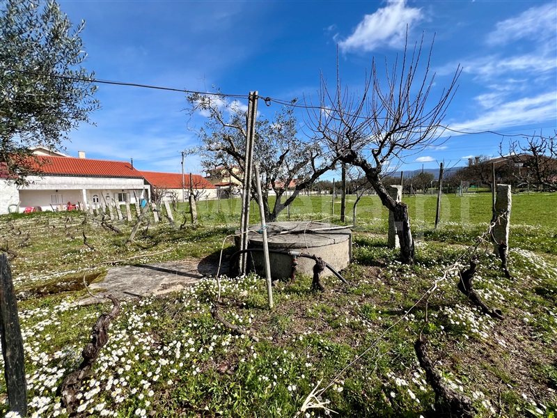 Quinta T3 Seia, Santa Comba - 1385843 - 44