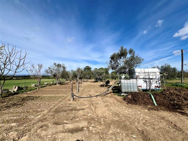 Quinta T3 Seia, Santa Comba - 1385843 - 57