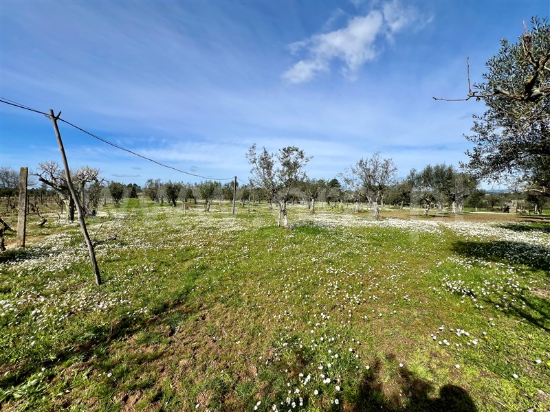 Quinta T3 Seia, Santa Comba - 1385843 - 59