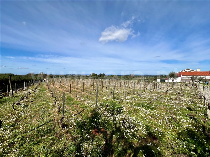 Quinta T3 Seia, Santa Comba - 1385843 - 66