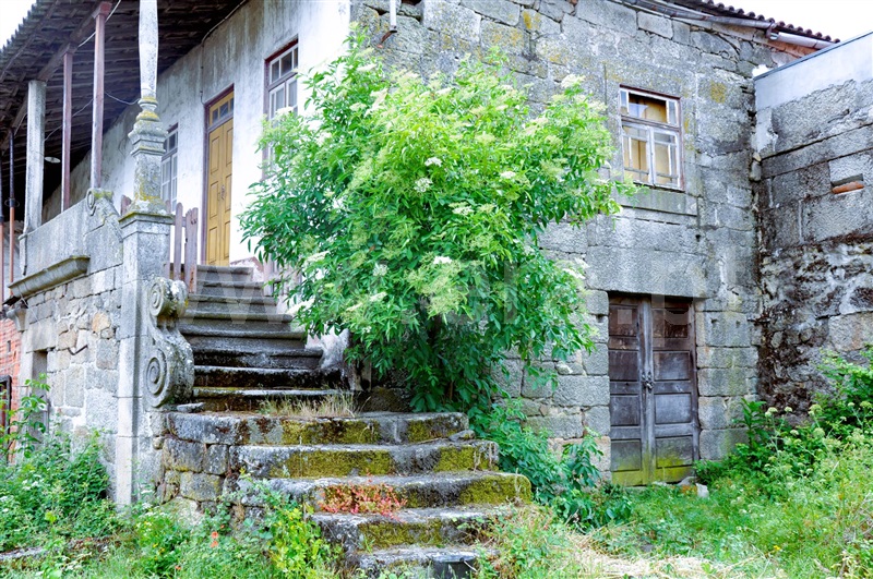 Quinta T3 Valpaços, Vilarandelo - 1316783 - 19
