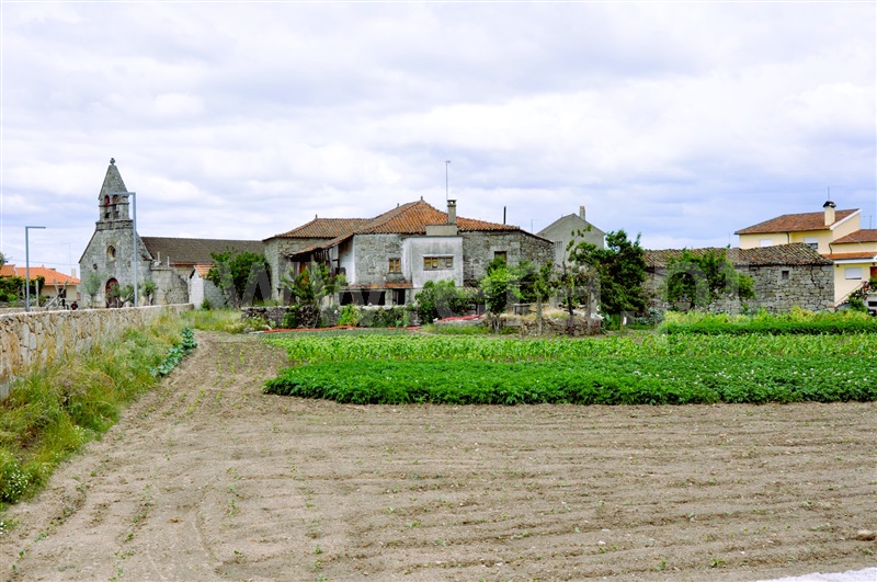 Quinta T3 Valpaços, Vilarandelo - 1316783 - 24
