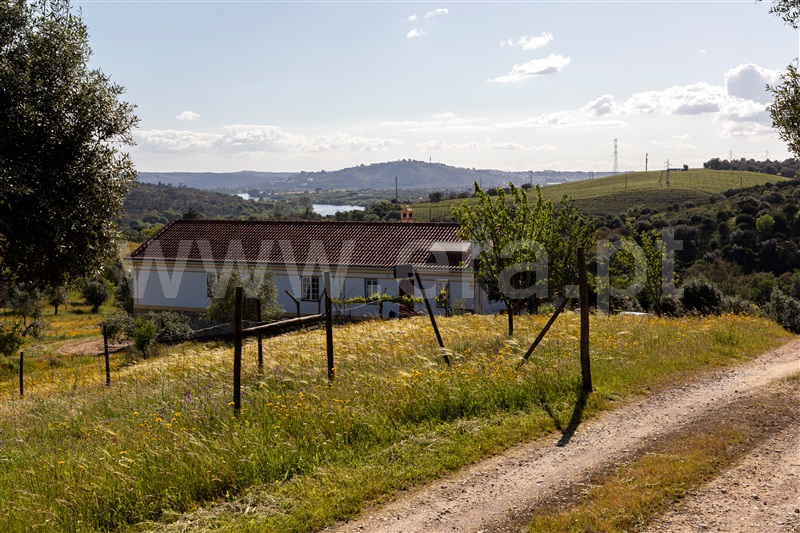 Quinta T4 Abrantes, Mouriscas - 1430088 - 1