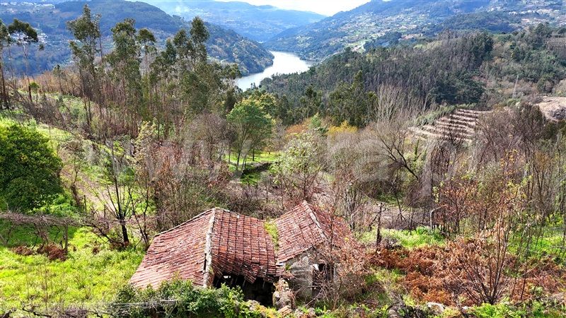 Quinta T4 Baião, Baião (Santa Leocádia) e Mesquinhata - 1294778 - 2