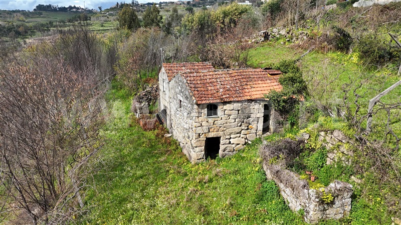 Quinta T4 Baião, Baião (Santa Leocádia) e Mesquinhata - 1294778 - 3