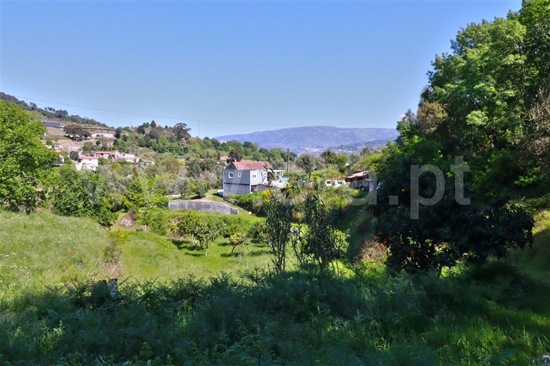 Quinta T4 / Baião, Santa Cruz do Douro e São Tomé de Covelas