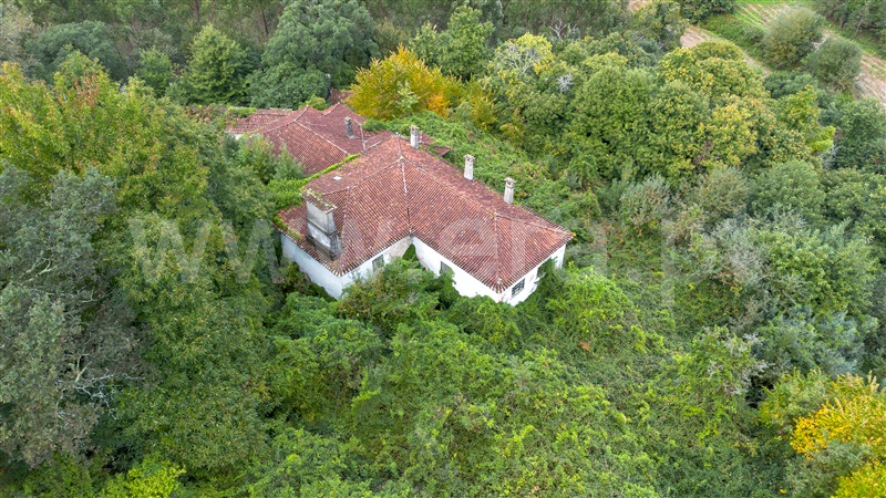 Quinta T4 / Barcelos, Durrães e Tregosa