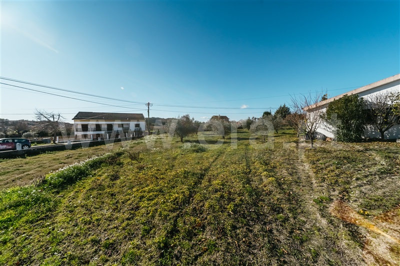 Quinta T5 com Grande Belmonte, Carvalhal Formoso - 1450812 - 12