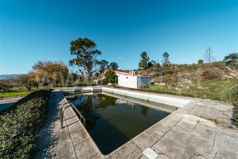 Quinta T5 com Grande Belmonte, Carvalhal Formoso - 1450812 - 28