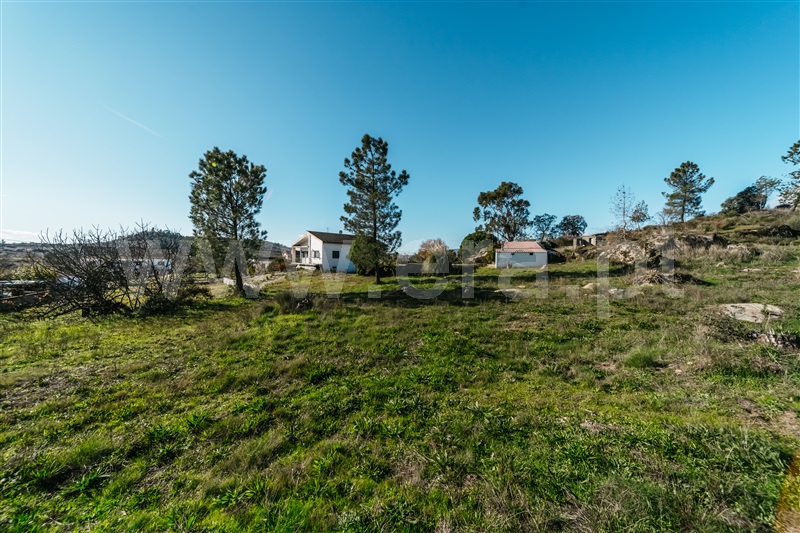 Quinta T5 com Grande Belmonte, Carvalhal Formoso - 1450812 - 32